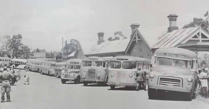 Berrima Buslines